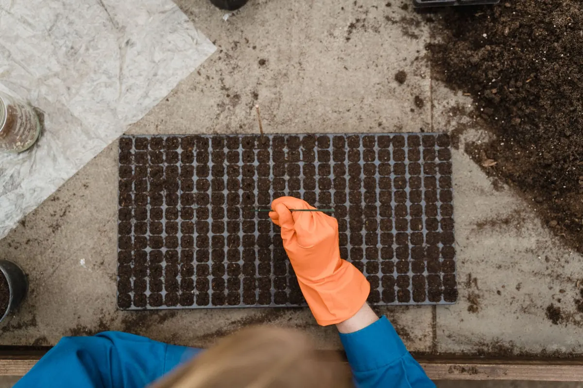 A Monthly Seed-Sowing Checklist for a Four-Season Kitchen Garden